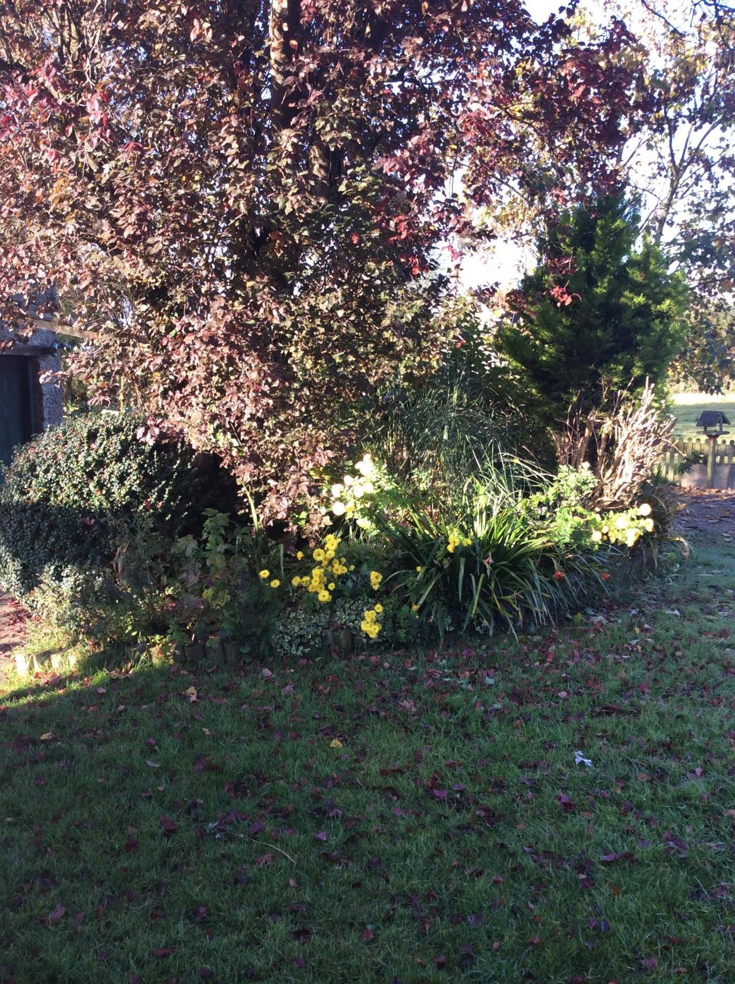Poplar Farm Bed & Breakfast Wedmore Luaran gambar